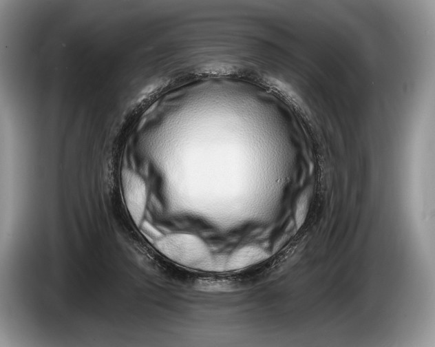 X0000086270354200704122033