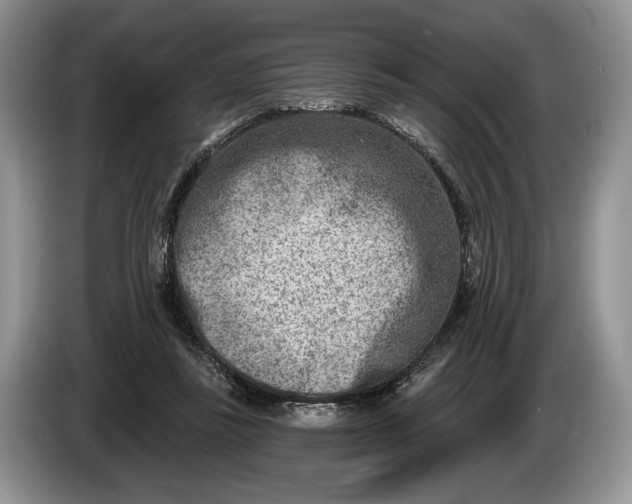 X0000086270355200704122033