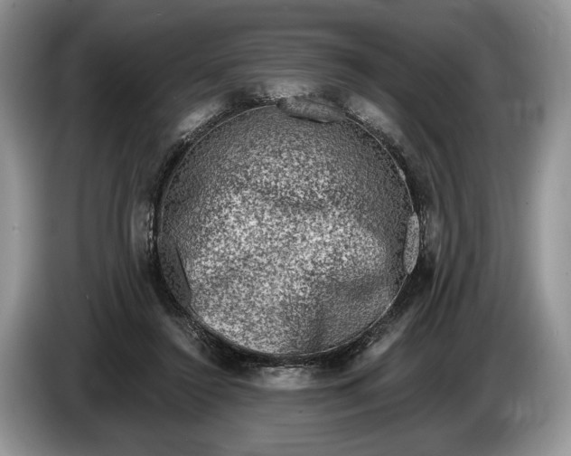 X0000086270356200704122033