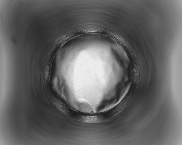 X0000086270361200704122033