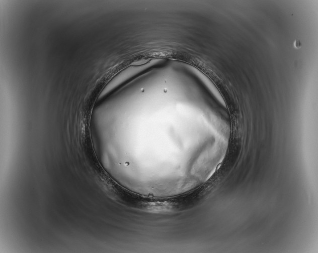 X0000086270363200704122033