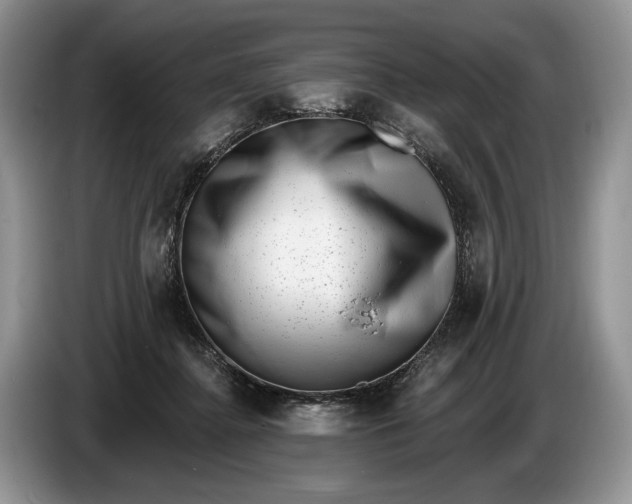 X0000086270364200704122033