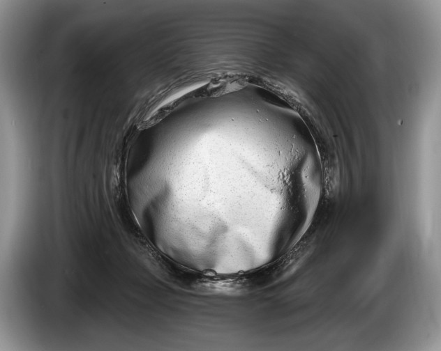 X0000086270365200704122033