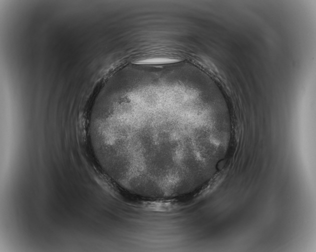 X0000086270366200704122033