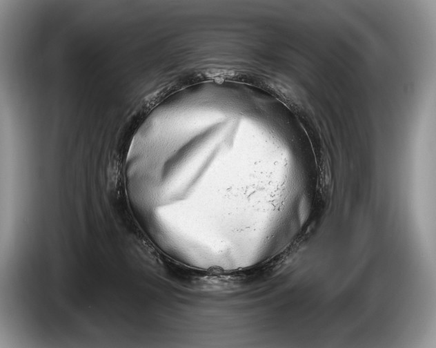 X0000086270367200704122033