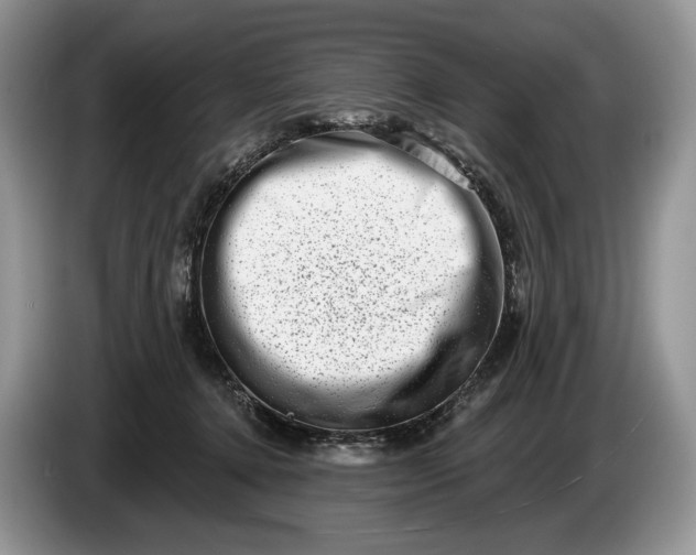 X0000086270368200704122033