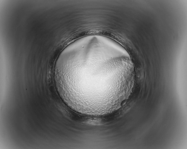 X0000086270369200704122033