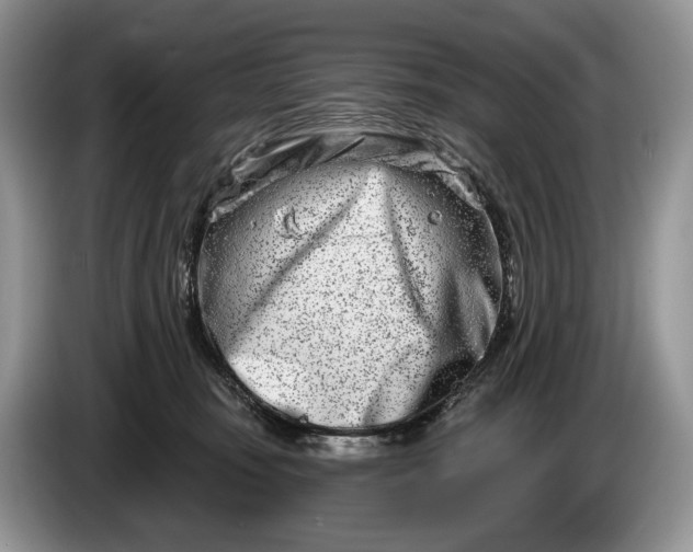 X0000086270371200704122033