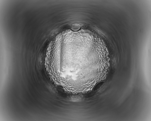 X0000086270373200704122033