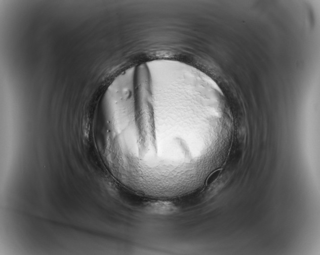 X0000086270374200704122033