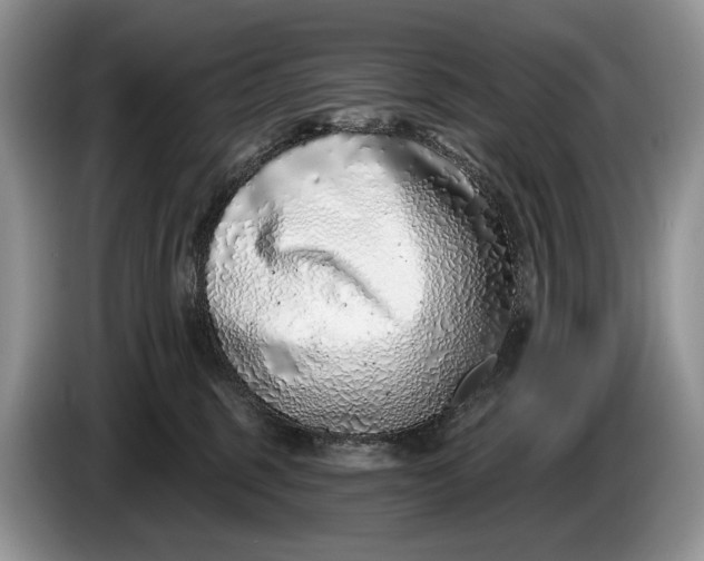 X0000086270375200704122034