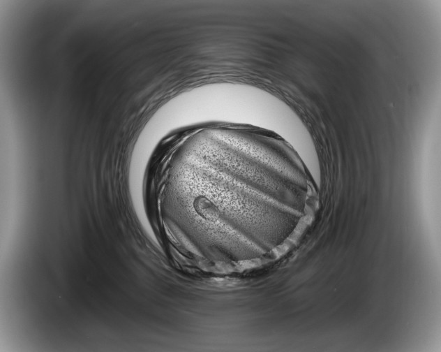 X0000086270376200704122034