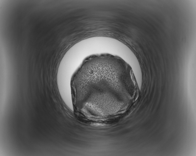 X0000086270380200704122034