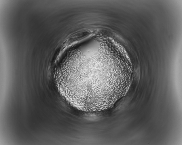 X0000086270381200704122034