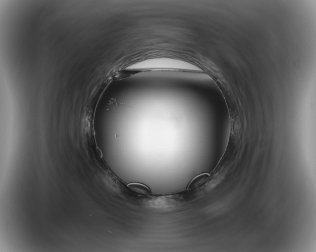 X0000086270382200704122034