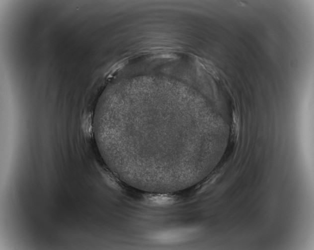 X0000086270383200704122034