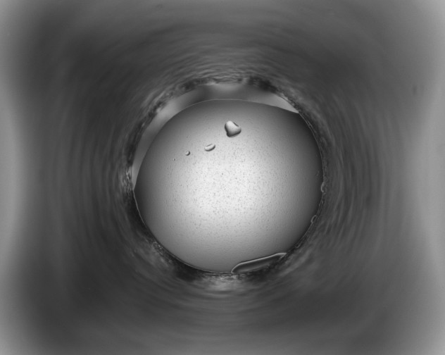 X0000086270384200704122034