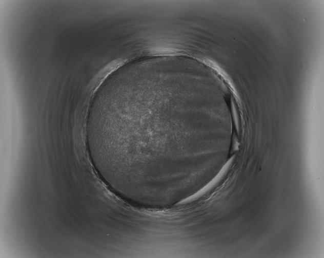 X0000086270385200704122033