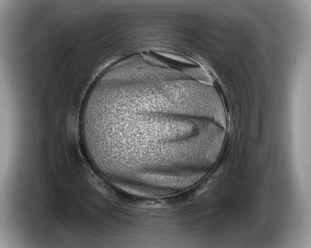 X0000086270386200704122033