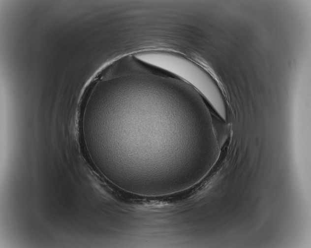 X0000086270387200704122033