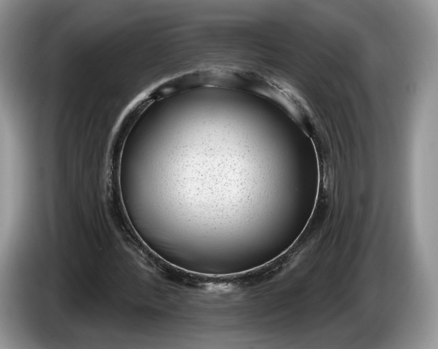 X0000086270388200704122033