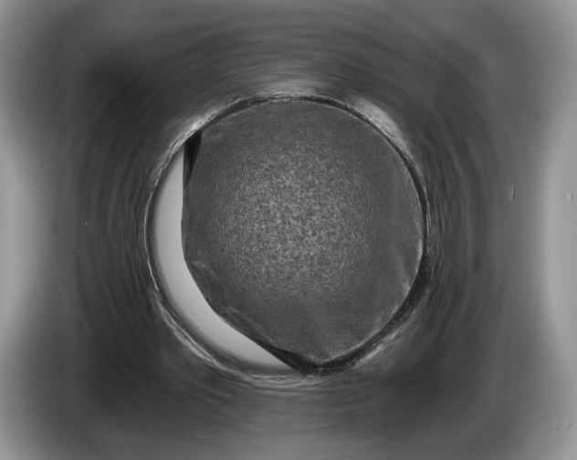 X0000086270389200704122033