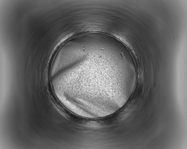 X0000086270390200704122033