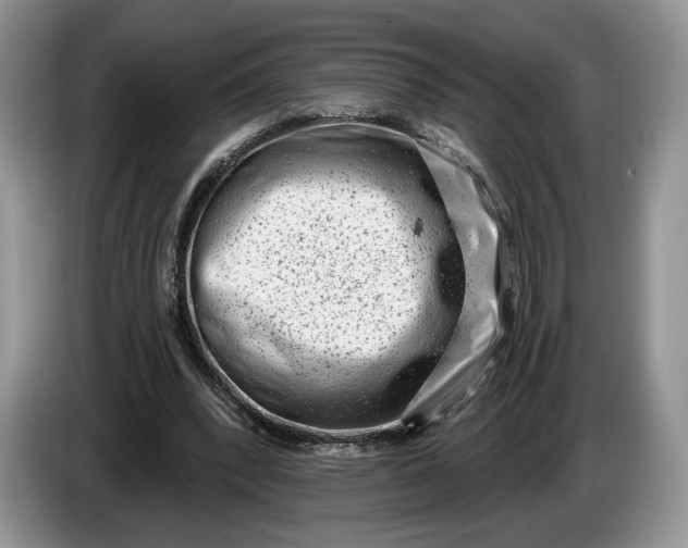 X0000086270392200704122033