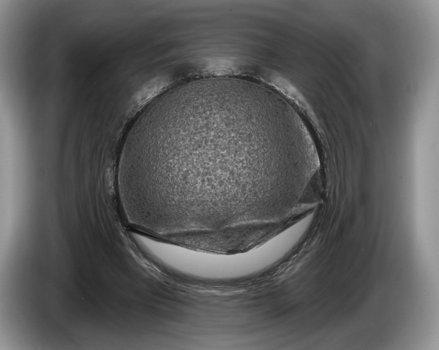 X0000086270393200704122033