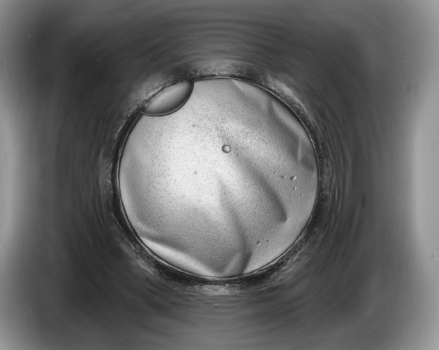 X0000086270394200704122033