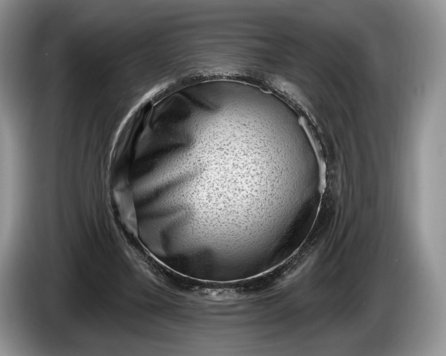 X0000086270395200704122033