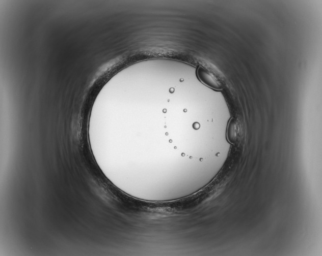 X0000086270396200704122033