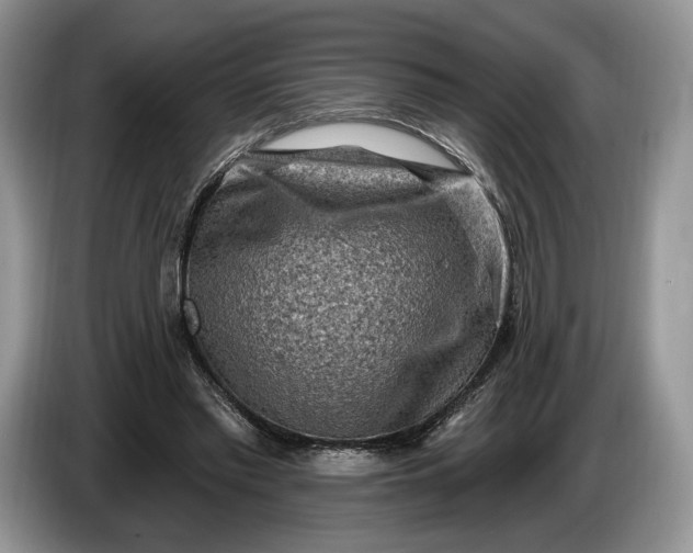 X0000086270397200704122033