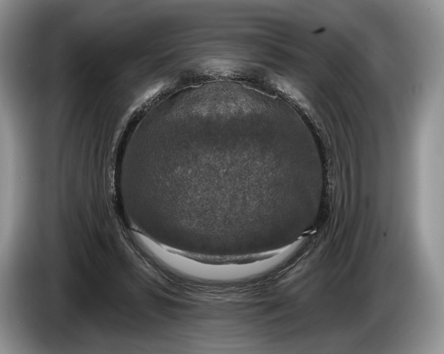 X0000086270399200704122033