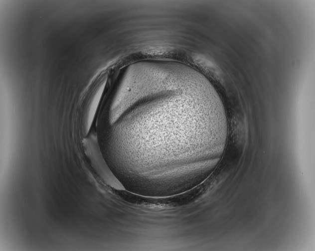 X0000086270400200704122033