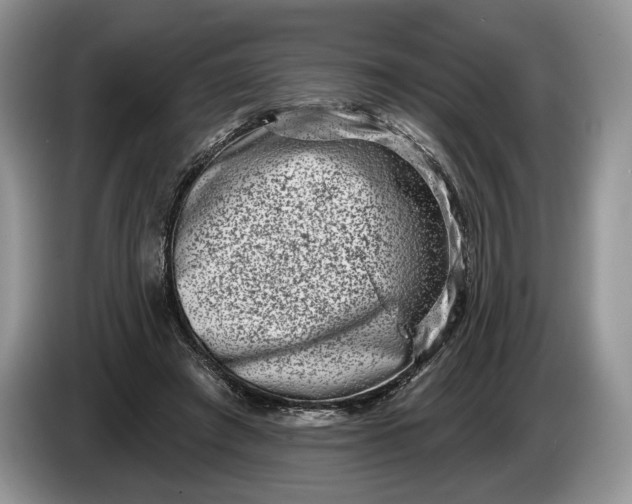 X0000086270401200704122033