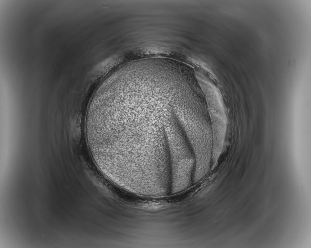 X0000086270402200704122033