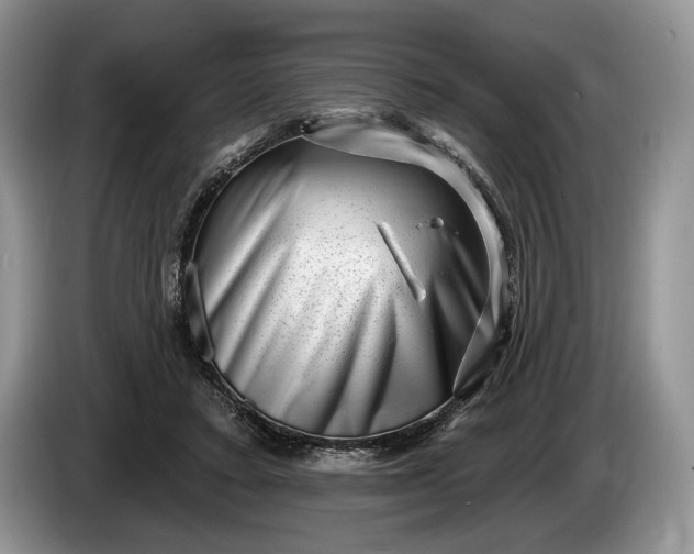 X0000086270403200704122033