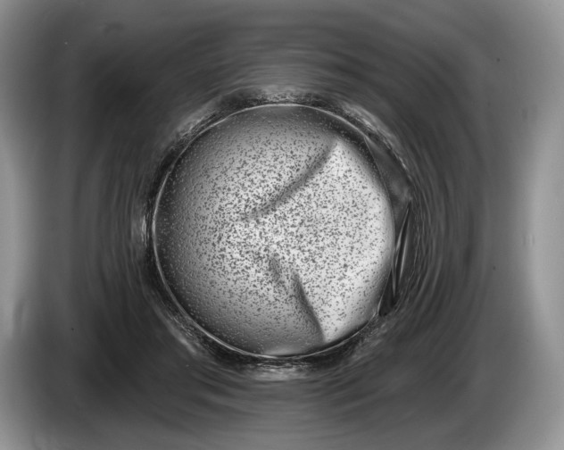 X0000086270405200704122033