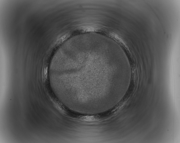 X0000086270406200704122033