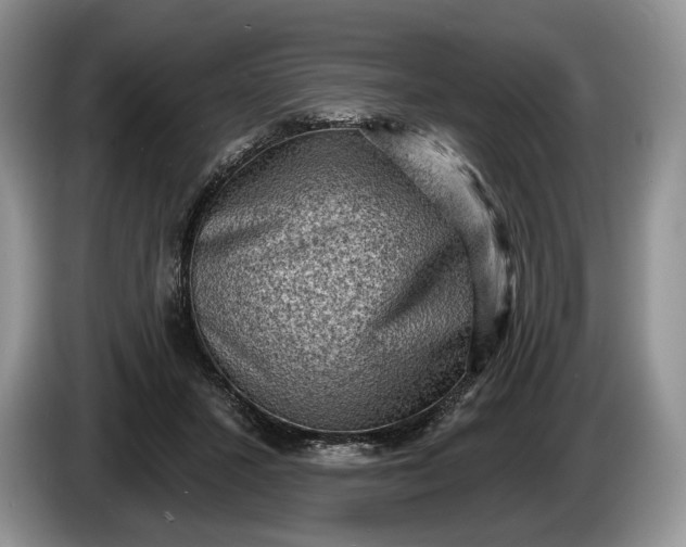 X0000086270407200704122033