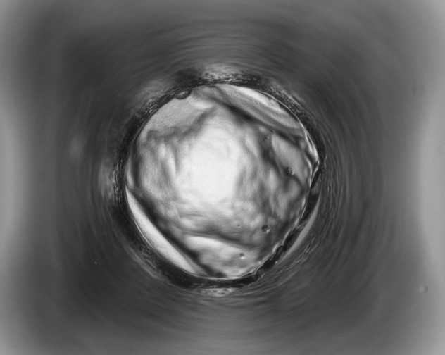 X0000086270408200704122033