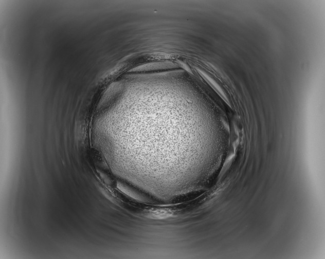 X0000086270409200704122033