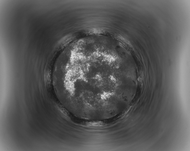 X0000086270410200704122033