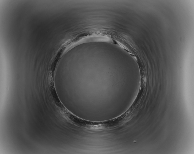 X0000086270411200704122033