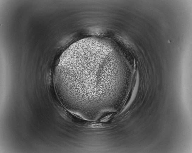 X0000086270413200704122033