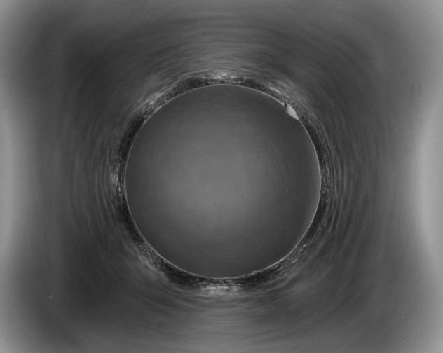 X0000086270415200704122033