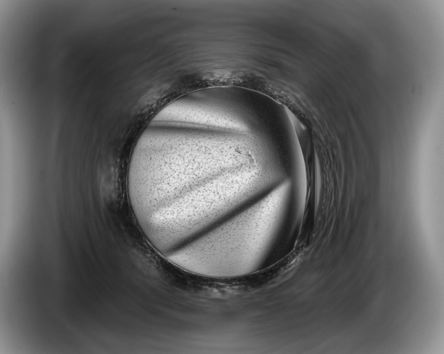 X0000086270416200704122033