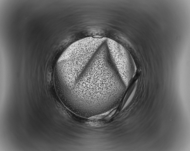 X0000086270417200704122033