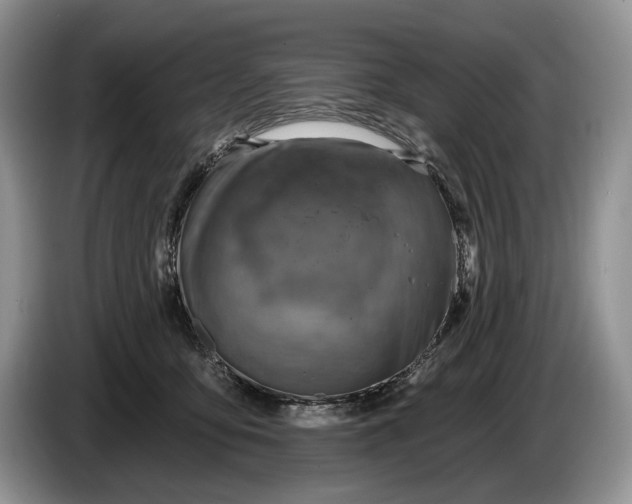 X0000086270419200704122033